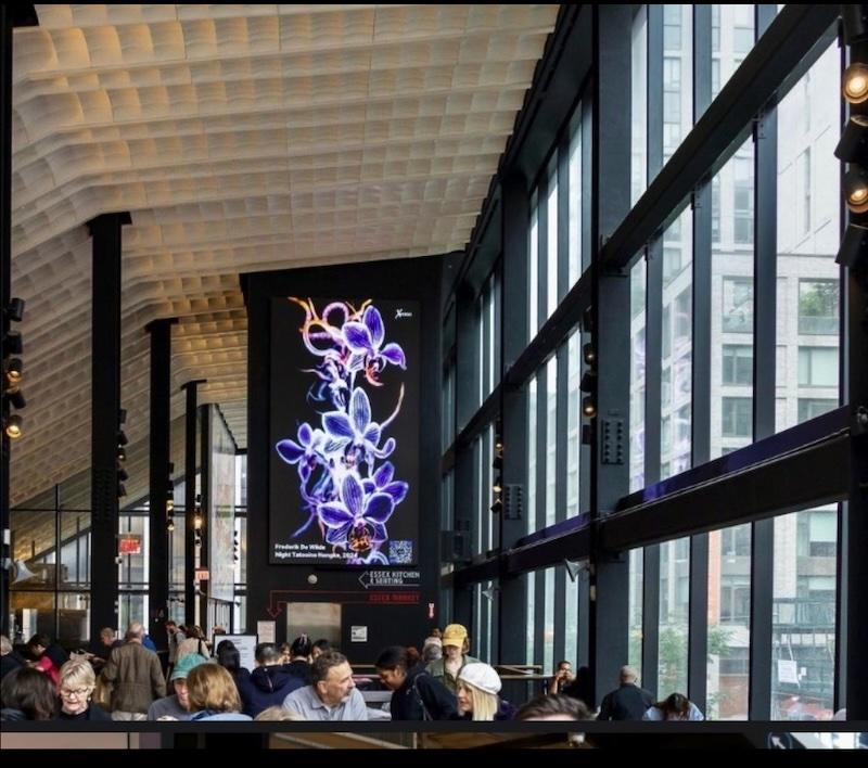 Art for Public Spaces